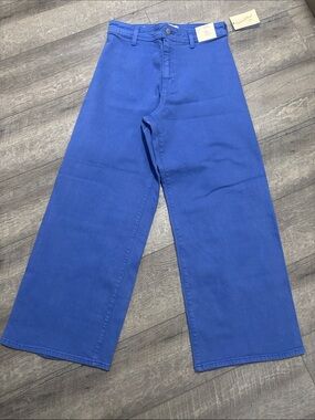 Universal Thread Wide Leg Pants in Bright Blue